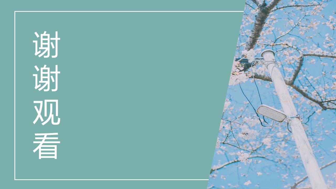 旅游画册 (68).pptx